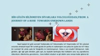 Erkut Tokman – Bir Gülün Bilinmeyen Diyarlara Yolcuğu’ndan