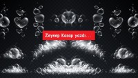 SİLKELEMEYİ SEVENLER TOPLULUĞU